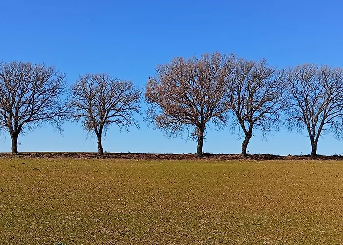 Tudesia Charming House * Todi